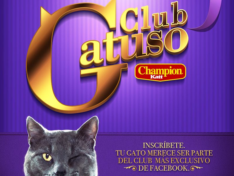 Champion Katt “Club Gatuso”